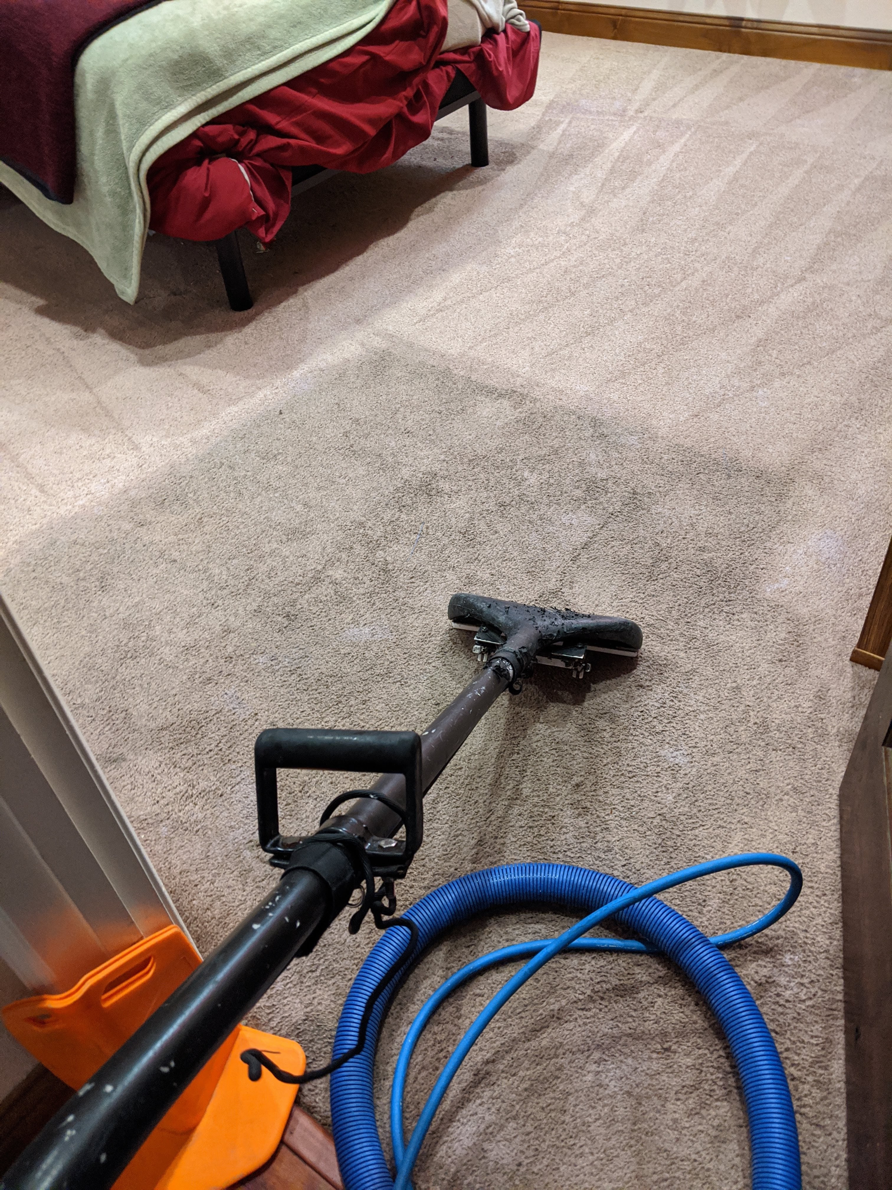 Rug Cleaning by Accents In Carpet Cleaning