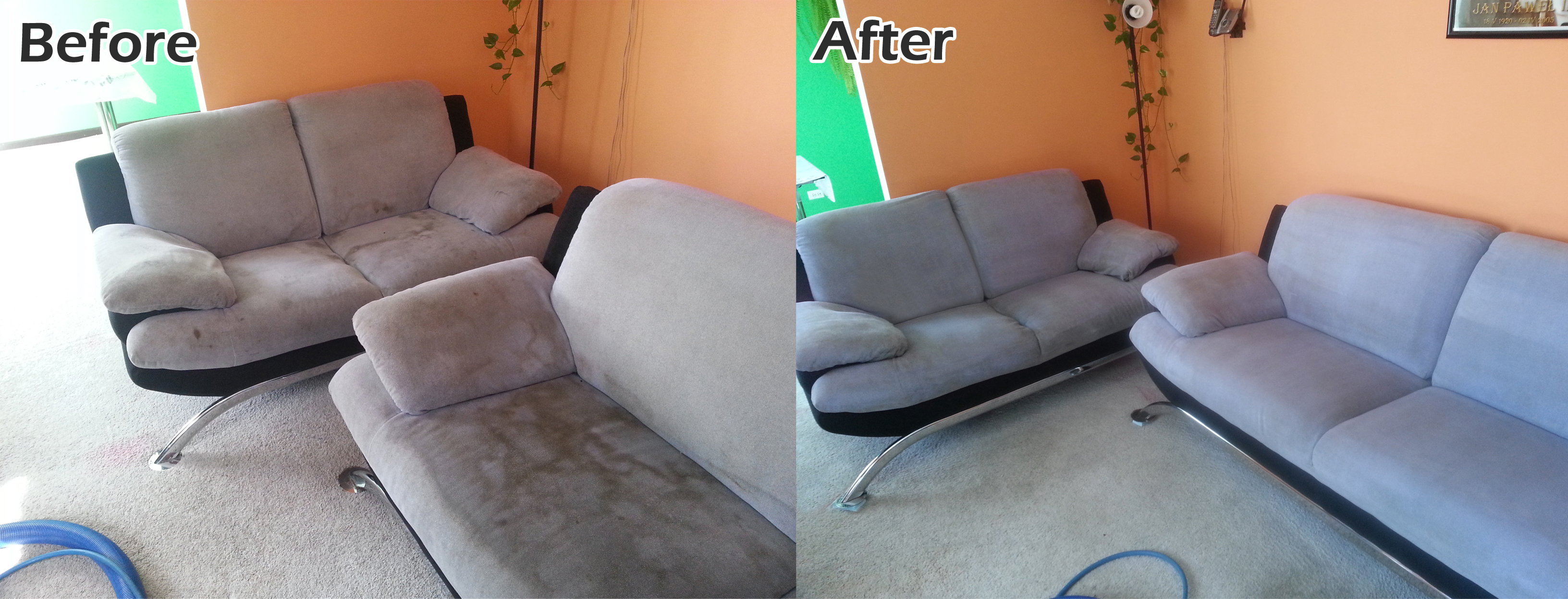 Pet Odor Removal service area photo