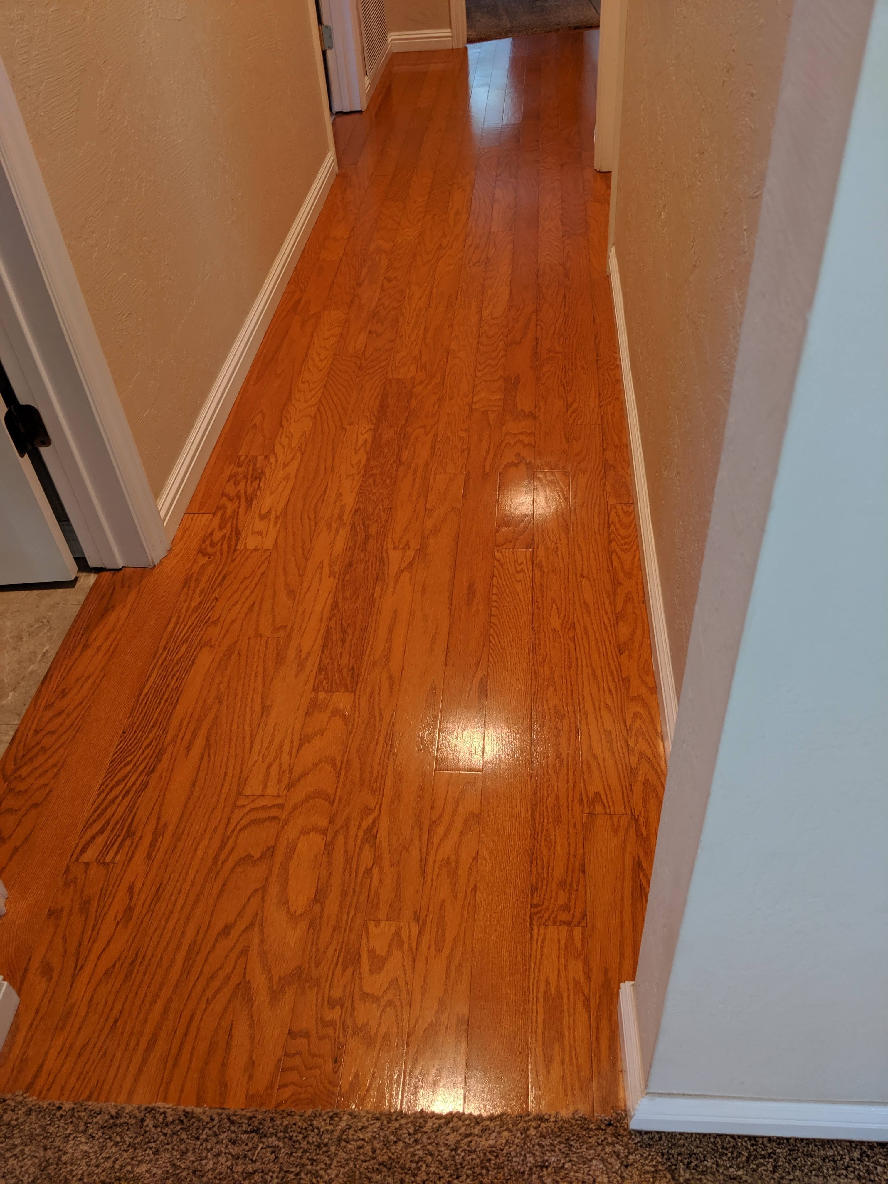 Floor Cleaning by Accents In Carpet Cleaning