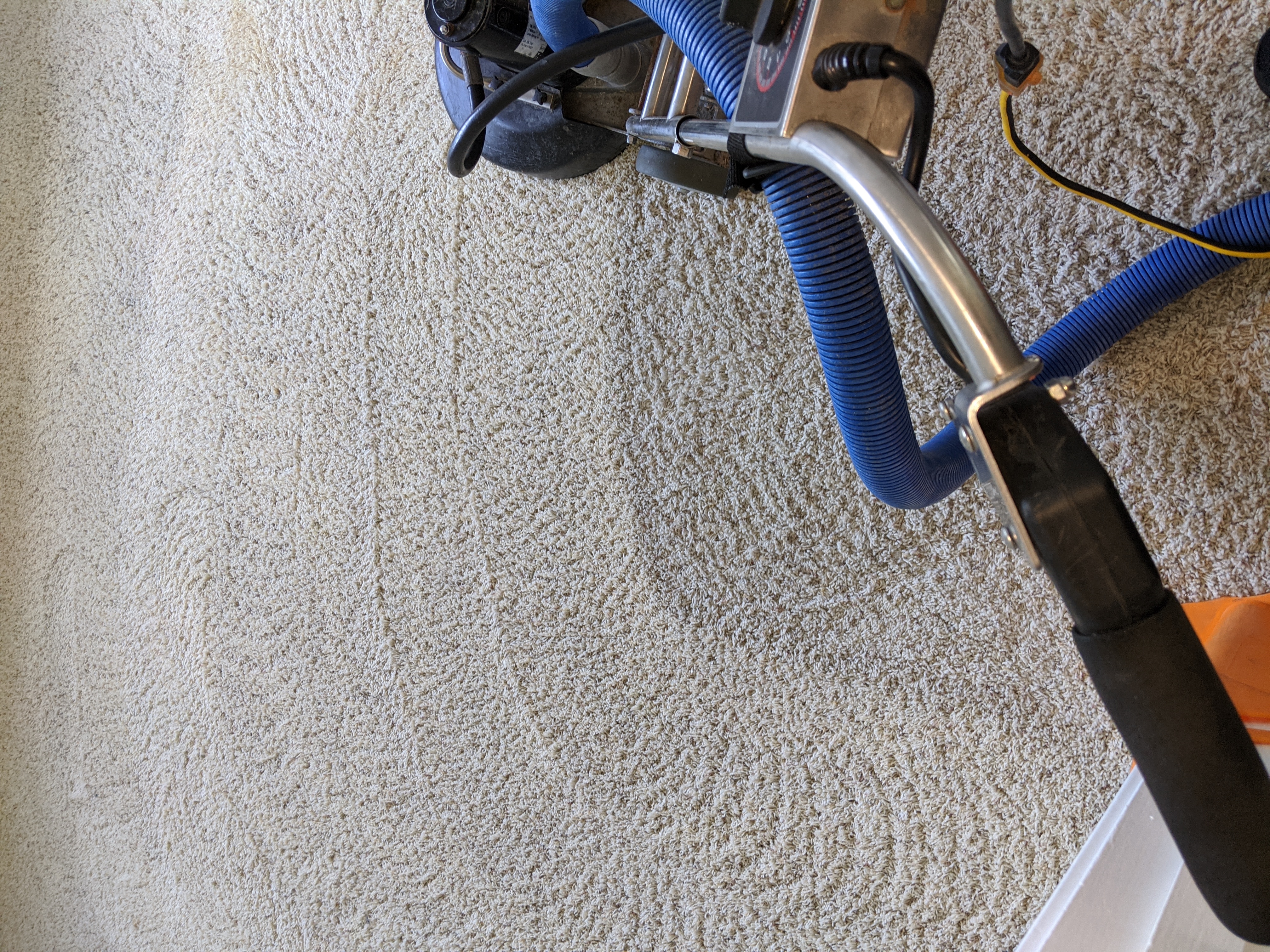 White carpet cleaned before and after result