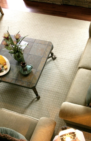Carpet Cleaning In Concord, Walnut Creek, Bay Point