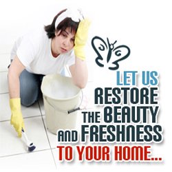 Carpet Cleaners - Residential and commercial Cleaning - There Is Nothing Like A Clean, Beautiful Carpet