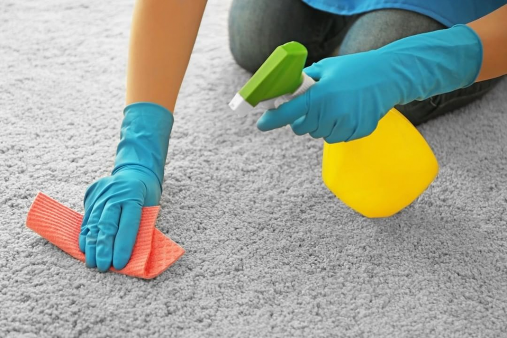 Carpet Cleaning Service - Complete Weekend Carpet Cleaning Session: Step-by-Step Process To Plan And Execute It