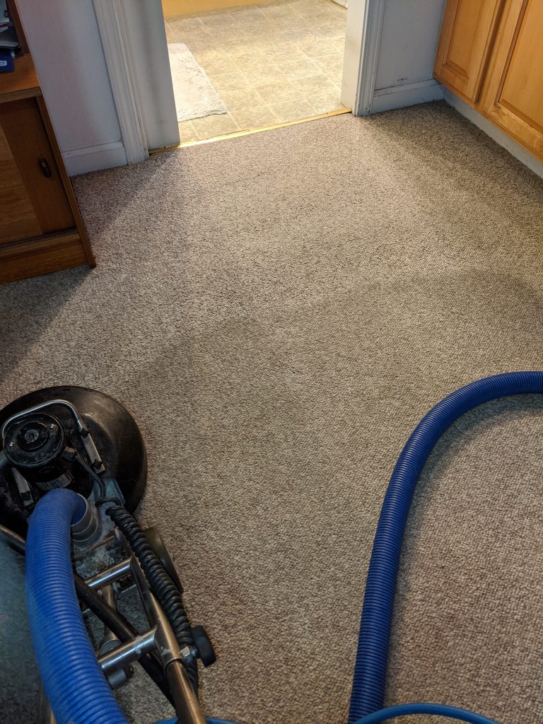 Complete Weekend Carpet Cleaning Session: Step-by-Step Process To Plan And Execute It