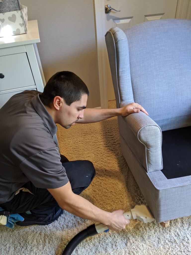 Choosing The Right Carpet Cleaning Company: What To Look For