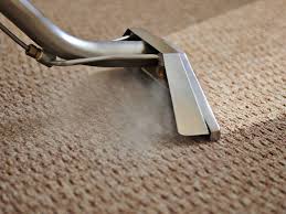 5 Main Criteria For Choosing The Right Carpet Cleaning Service In California 