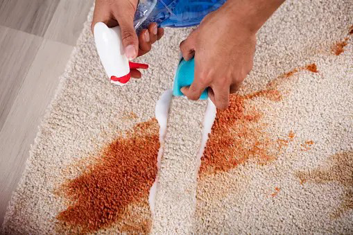 home made carpet cleaning agent