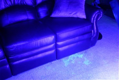 An example of a pet stain under UV light - What You Should Know About The Carpet Cleaning Process
