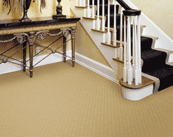 carpet cleaning services