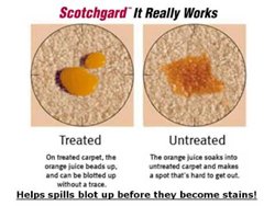 scotchgard for your carpet before after
