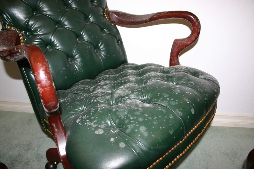 Mold on leather can be really difficulty to remove if you don't know the tricks