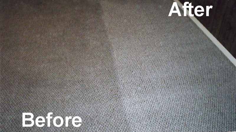 Clean Carpet vs Dirty Carpet