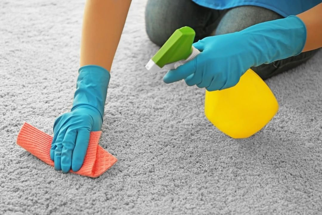 Carpet Cleaning Service