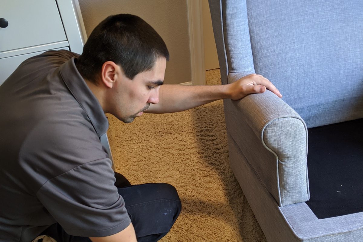 upholstery cleaning